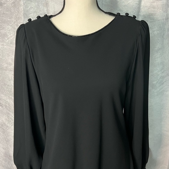 Monica Richards Vintage Elegant Black Layered Dress with Semi-Sheer Sleeves - Picture 2 of 11